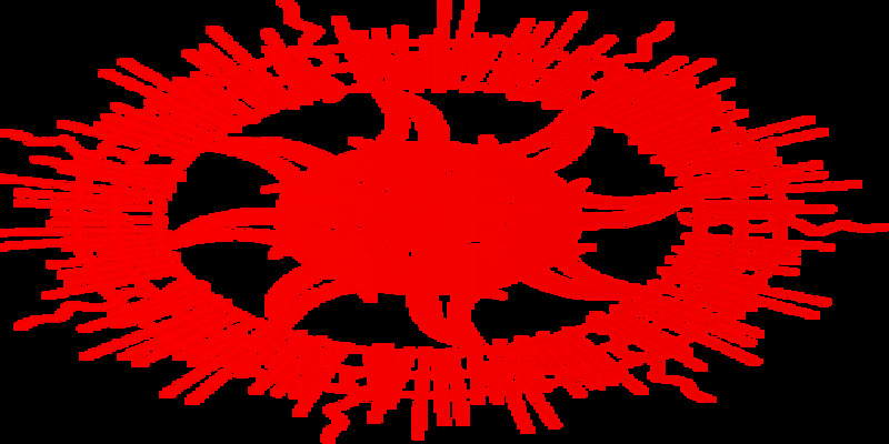 logo suncity