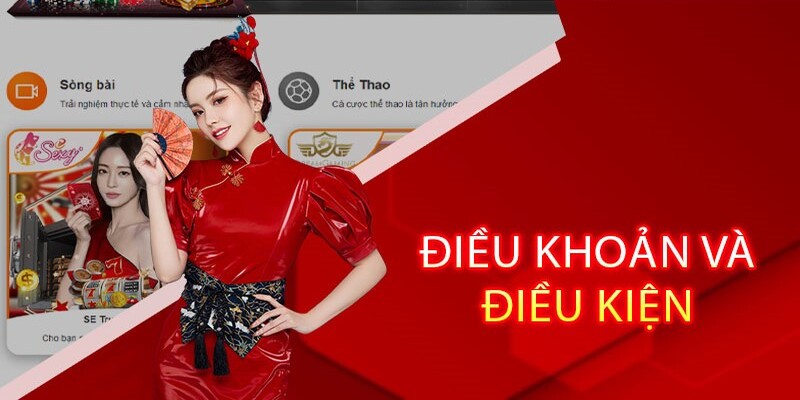 điều khoản và điều kiện